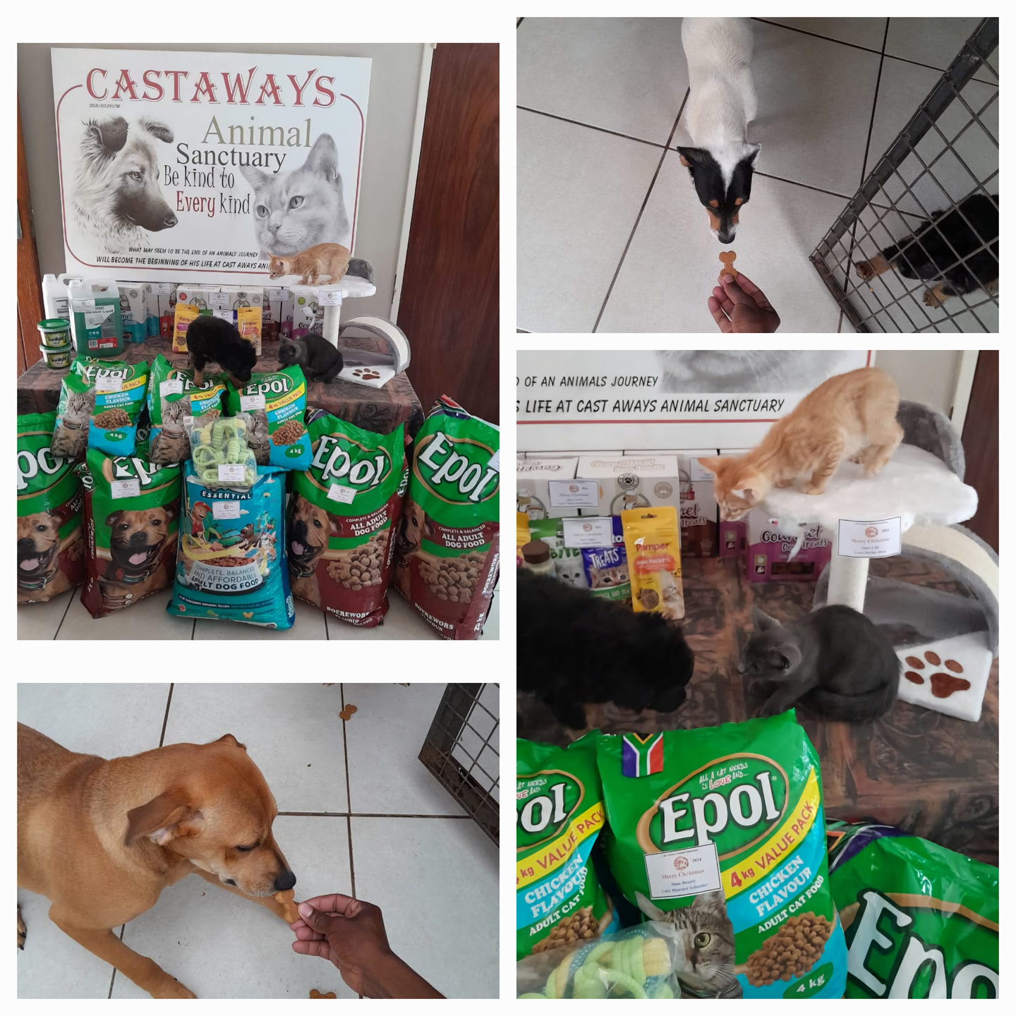 Cast Aways Animal Sanctuary